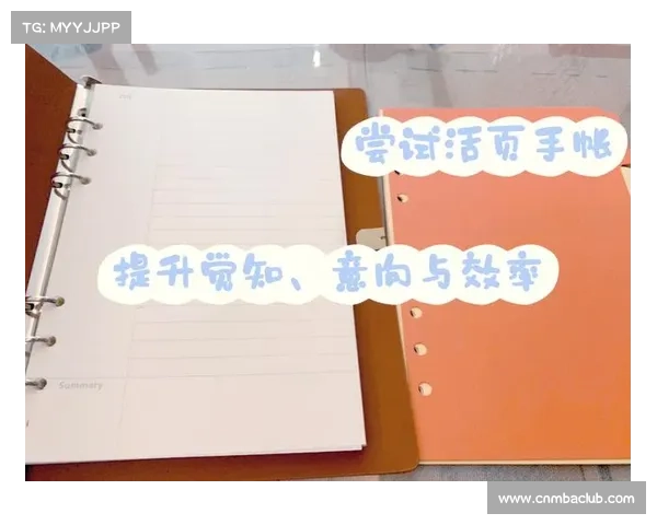 极速攻略笔记:解锁效率利器 极速攻略笔记:解锁效率利器