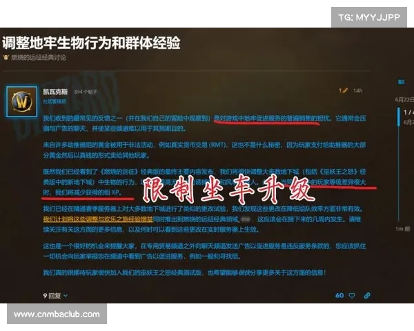 魔兽世界TBC:团队伤害优化攻略 魔兽世界TBC:团队伤害优化攻略